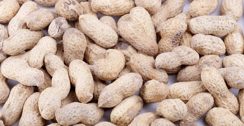 Similar image 21131118