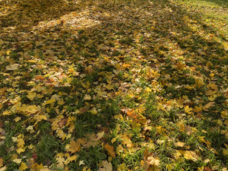 Similar image 21131122