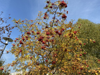 Similar image 21131167