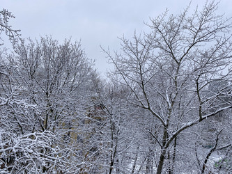 Similar image 21131168