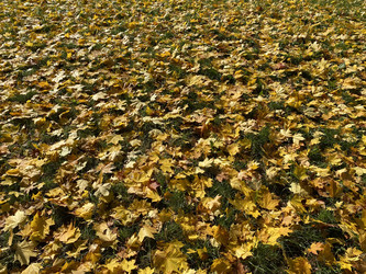 Similar image 21131169