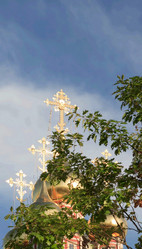 Similar image 21131174