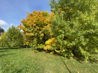 Similar image 21131175