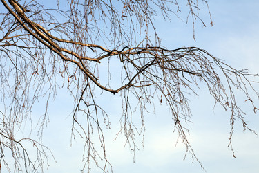 Similar image 21131185