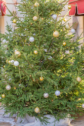 Similar image 21110427