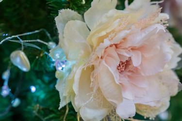 Similar image 21110436