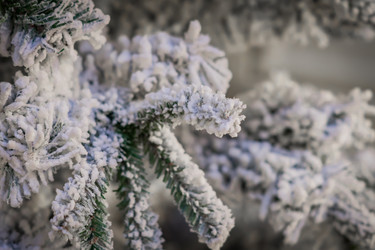 Similar image 21112295