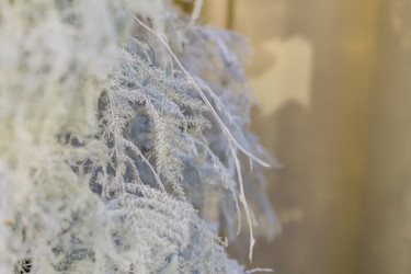 Similar image 21112299