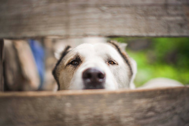 Similar image 21106394