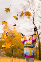 Similar image 21106397