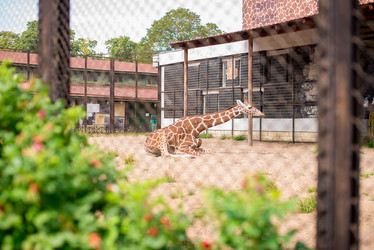 Similar image 21118249