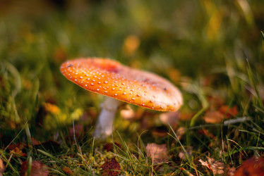 Similar image 21106398