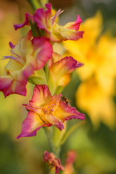 Similar image 21108643