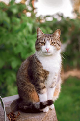 Similar image 21106400