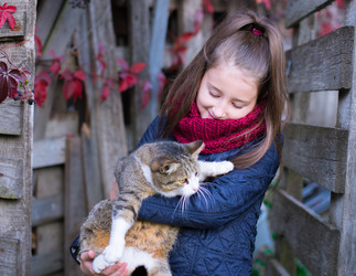 Similar image 21106401