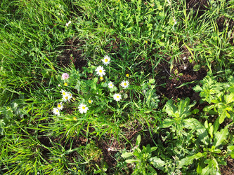 Similar image 21131192