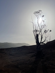 Similar image 21106403