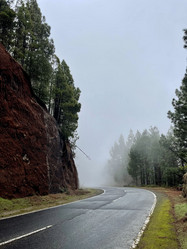 Similar image 21106404