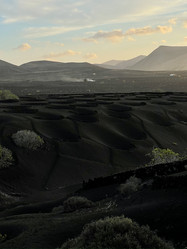 Similar image 21106412