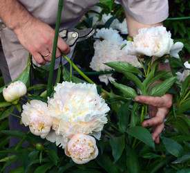 Similar image 21106414