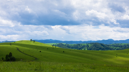 Similar image 21118537