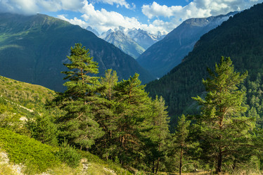 Similar image 21118540