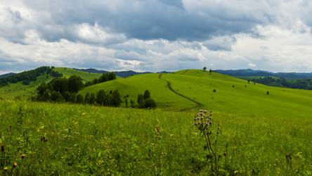 Similar image 21118549