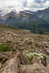 Similar image 21118565