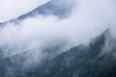 Similar image 21118570