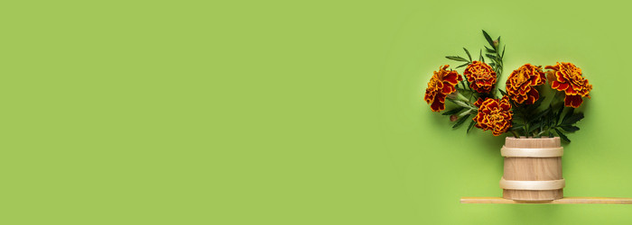 Similar image 21108119