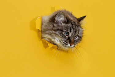 Similar image 21108457