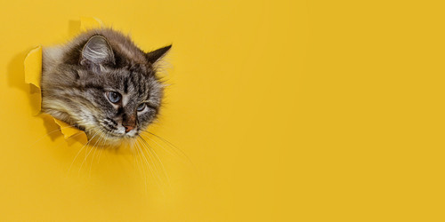 Similar image 21108463