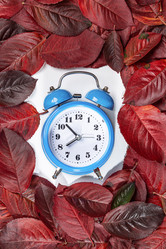 Similar image 21114346