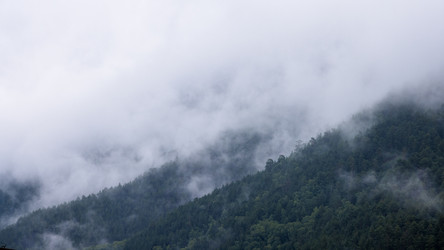 Similar image 21118572