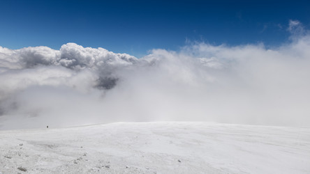 Similar image 21118500