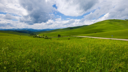 Similar image 21118510