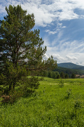 Similar image 21118574