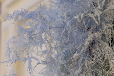 Similar image 21110234