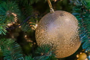 Similar image 21110251