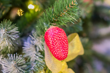 Similar image 21110259