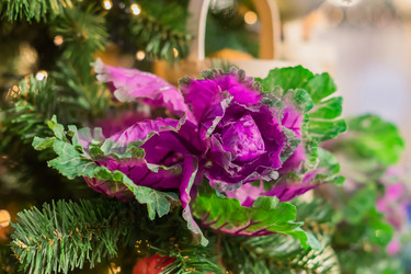 Similar image 21110454