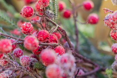 Similar image 21110456