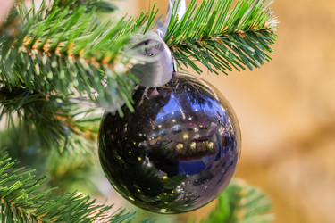 Similar image 21110459