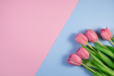 Similar image 21108141