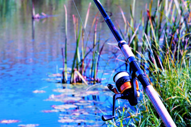 Similar image 21106421