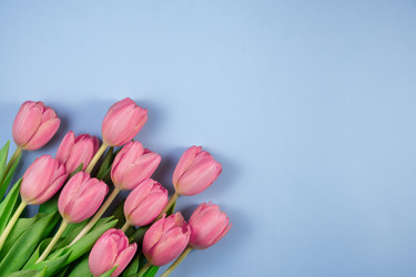 Similar image 21108323