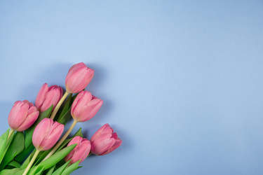 Similar image 21108333