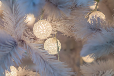 Similar image 21110264