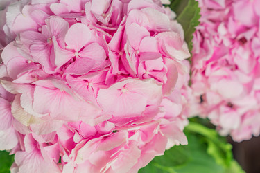 Similar image 21110272