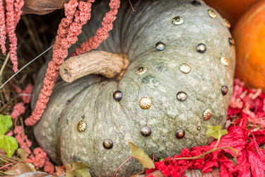 Similar image 21110275